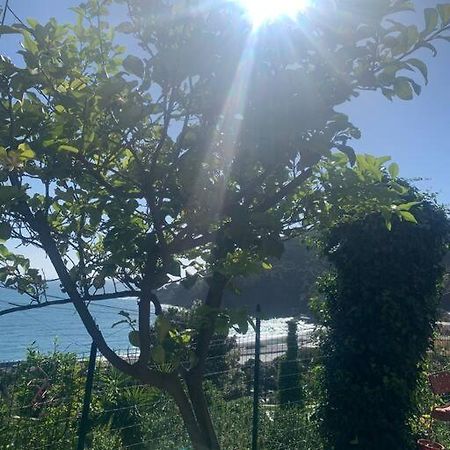 보나솔라 Cozy Beach House With Nice Garden, Basic Feel 아파트 외부 사진