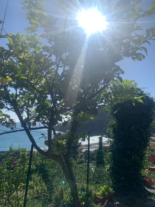 보나솔라 Cozy Beach House With Nice Garden, Basic Feel 아파트 외부 사진