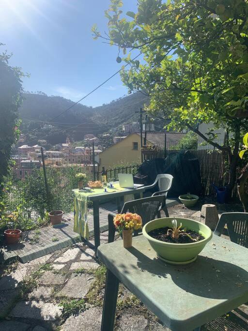 보나솔라 Cozy Beach House With Nice Garden, Basic Feel 아파트 외부 사진