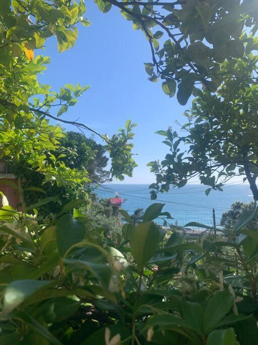 보나솔라 Cozy Beach House With Nice Garden, Basic Feel 아파트 외부 사진