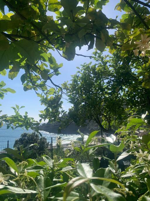 보나솔라 Cozy Beach House With Nice Garden, Basic Feel 아파트 외부 사진