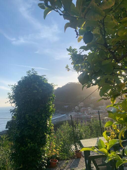 보나솔라 Cozy Beach House With Nice Garden, Basic Feel 아파트 외부 사진