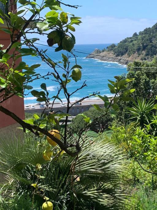 보나솔라 Cozy Beach House With Nice Garden, Basic Feel 아파트 외부 사진